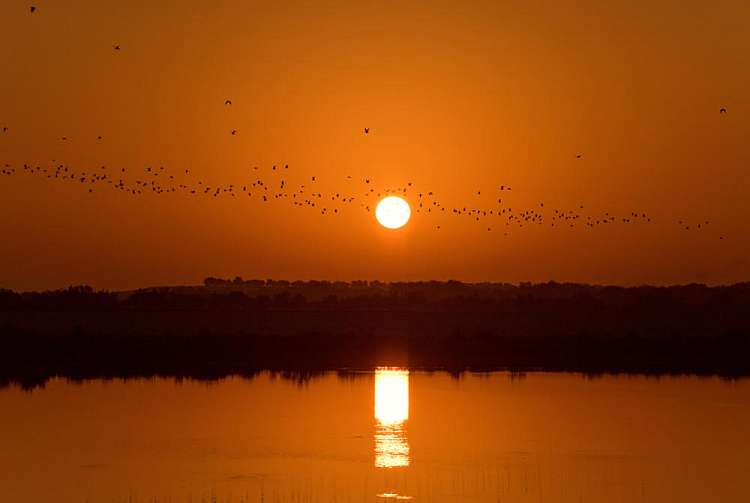 Crociera_Emirati - Sir Bani Yas Island